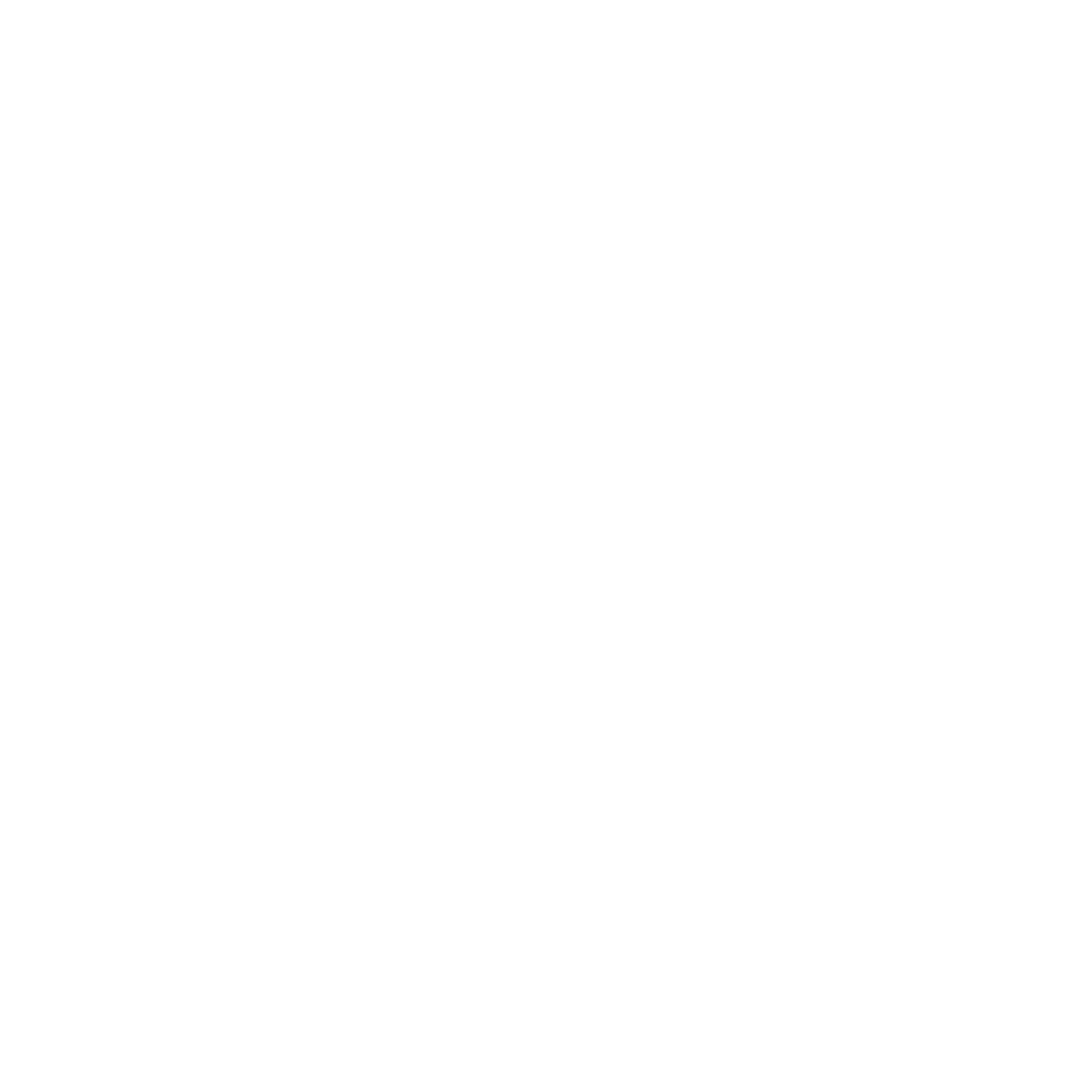 Icon 05 1
