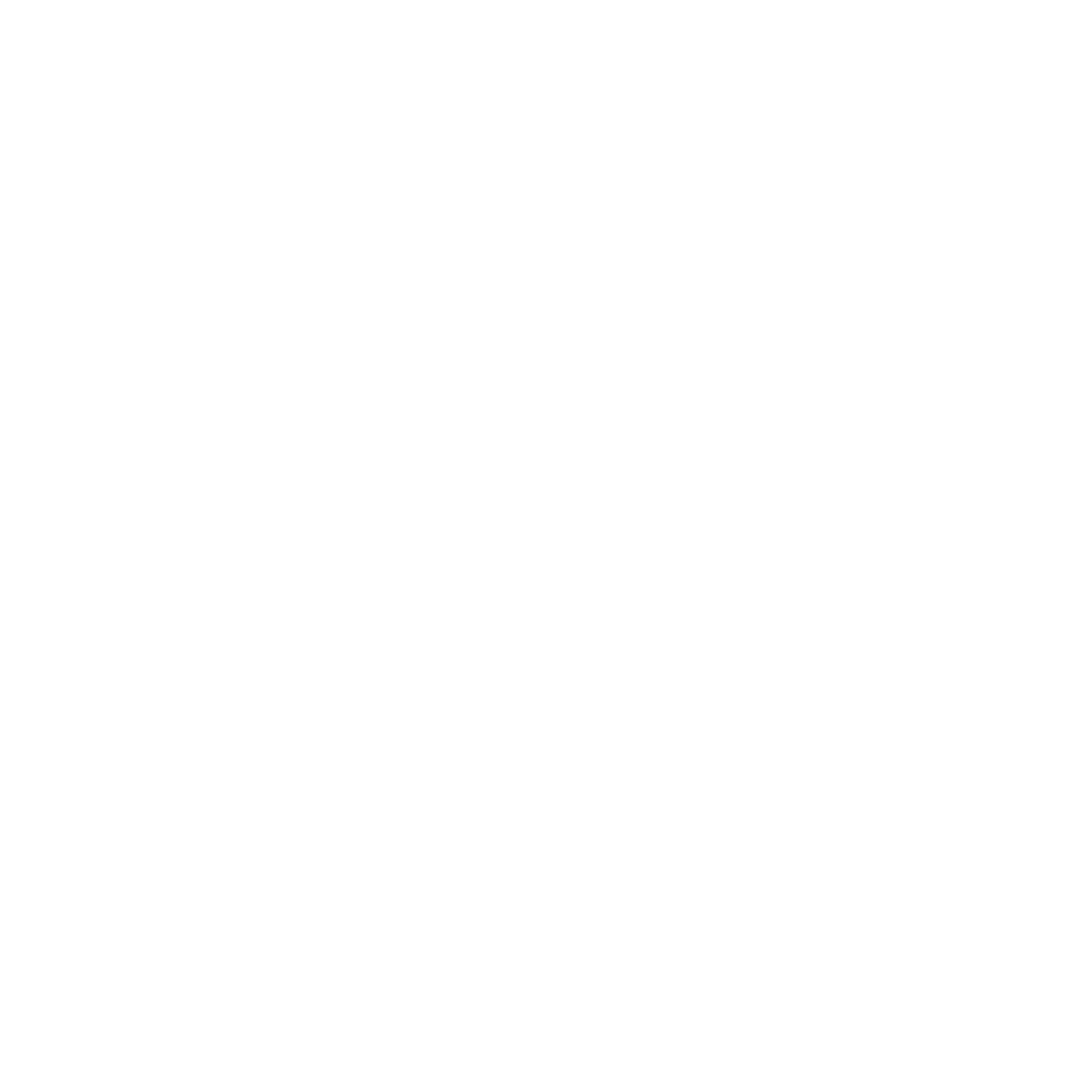 Icon 12