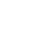 Icon 20