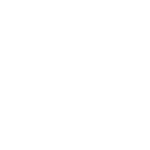 audit - loupe