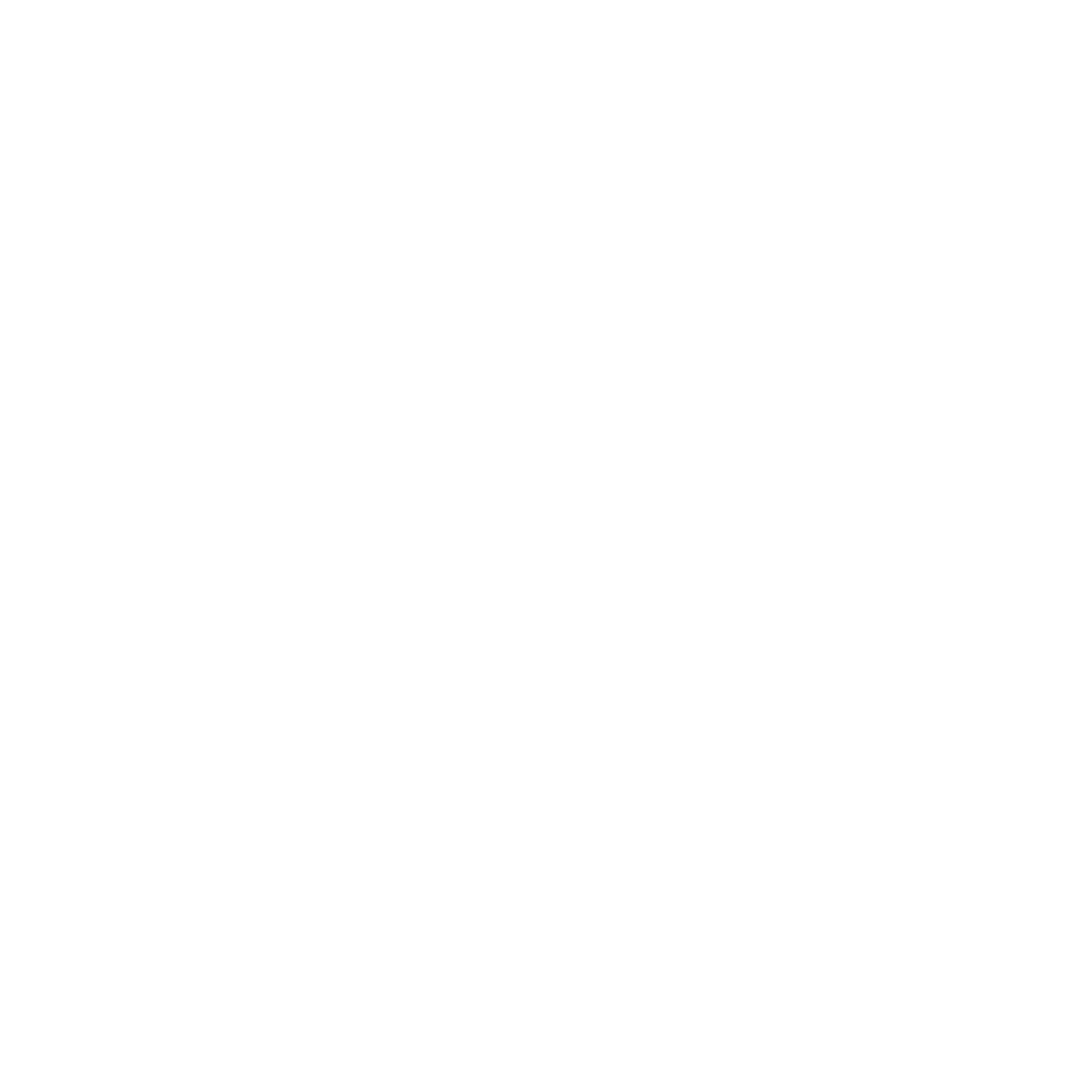 Icon 28