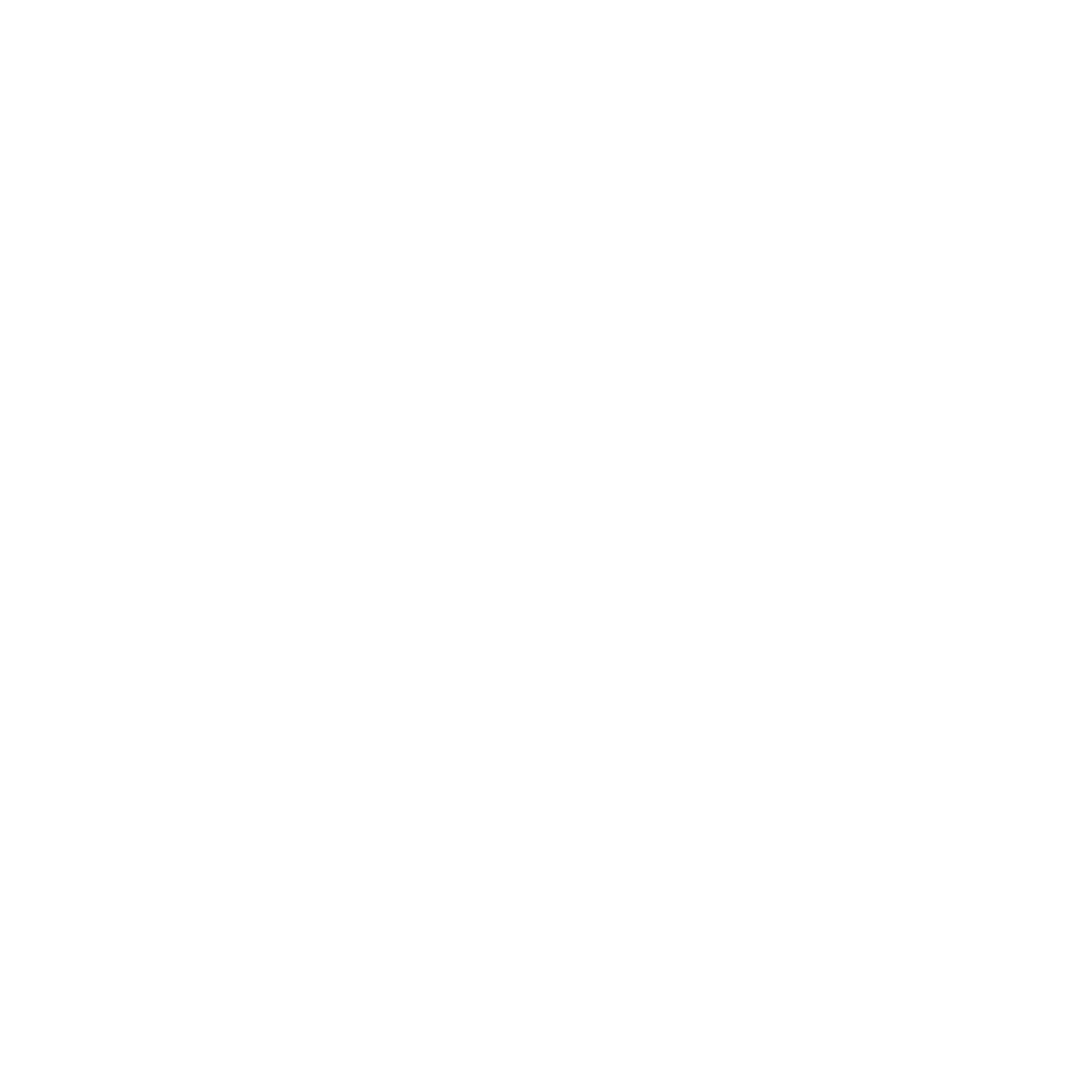 Icon 31