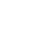 Icon 36