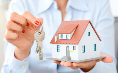 Comment Optimiser la Détention de Biens Immobiliers ? 