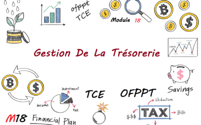 Qu’est-ce qu’un système de gestion de trésorerie (TMS)?