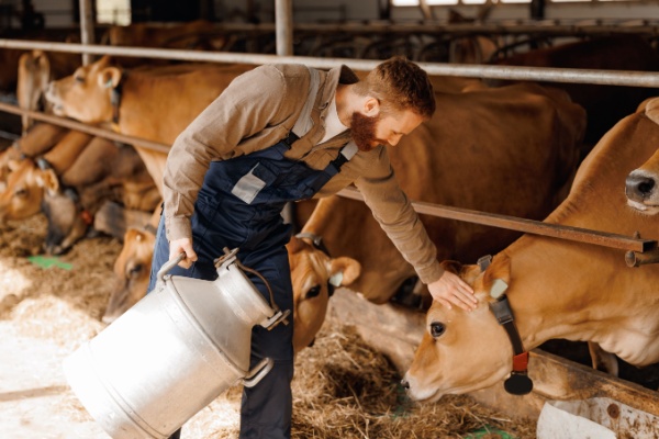 Shutterstock entreevigueursagriculture