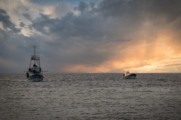 Shutterstock licencereuropeennepeche